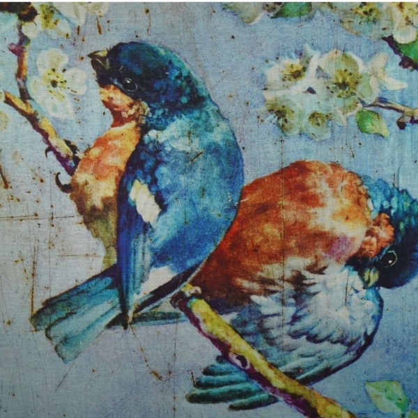 Details: Farbe: Graublau - Bunt Muster: Abstrakt - Vögel Material: 80% Baumwolle + 20% Seide Größe: 140 x 200 cm Pflegeempfehlung: Chemische Reinigung für optimale Qualität